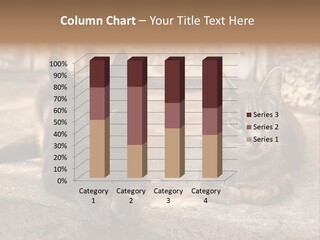 Sign Curl Hand PowerPoint Template