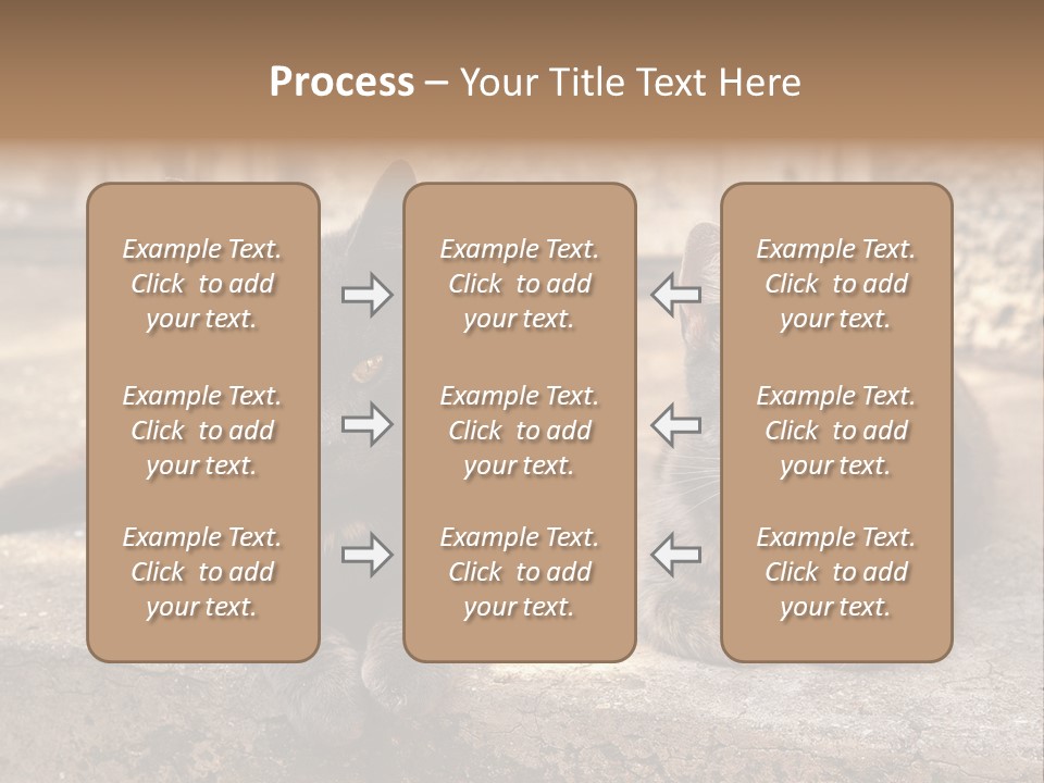 Sign Curl Hand PowerPoint Template