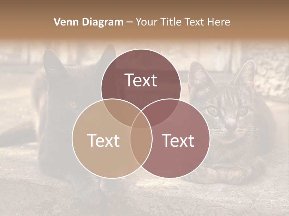 Sign Curl Hand PowerPoint Template