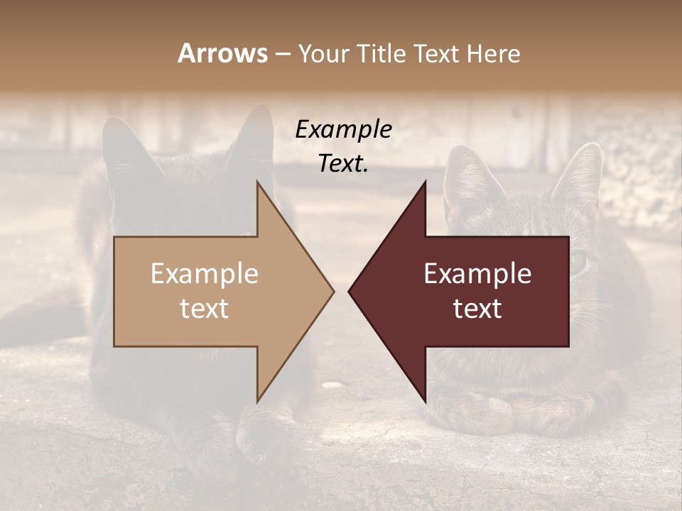 Sign Curl Hand PowerPoint Template