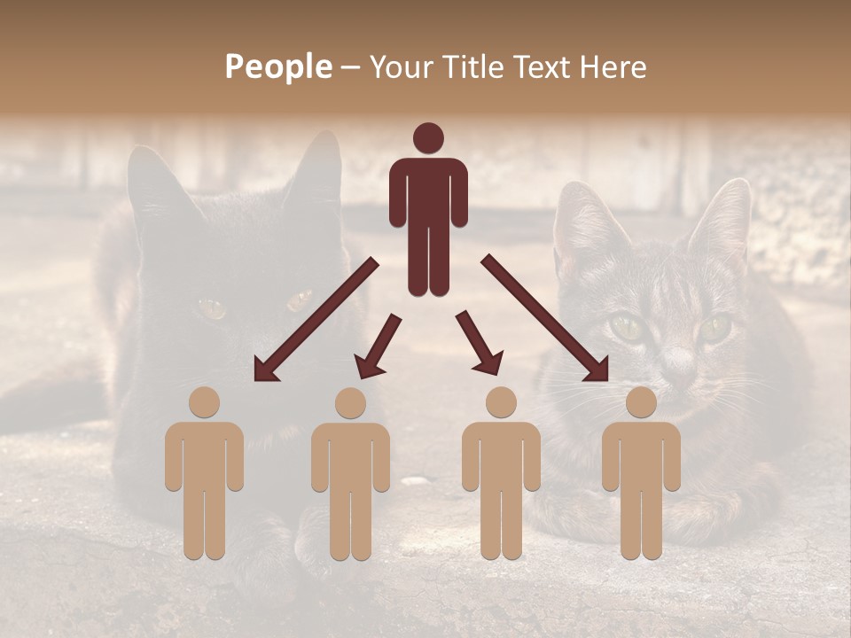 Sign Curl Hand PowerPoint Template