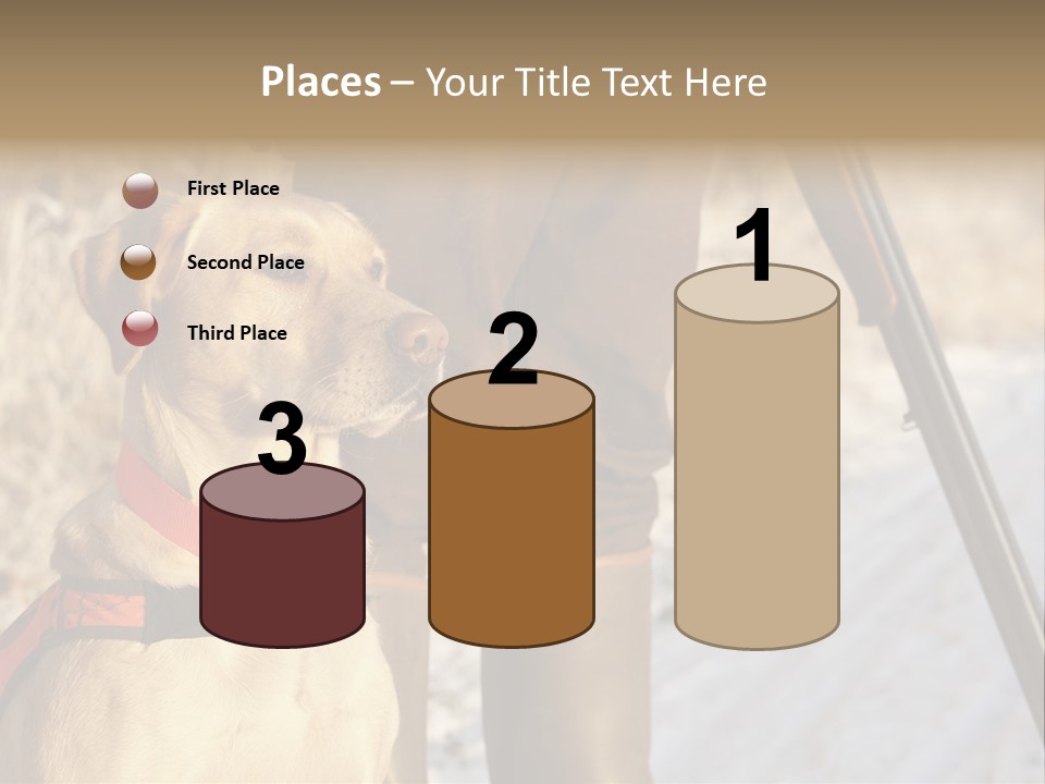 Animals Hunting Cold Weather Labrador PowerPoint Template