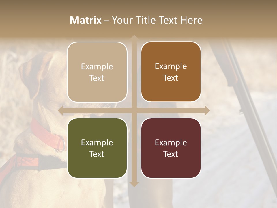 Animals Hunting Cold Weather Labrador PowerPoint Template