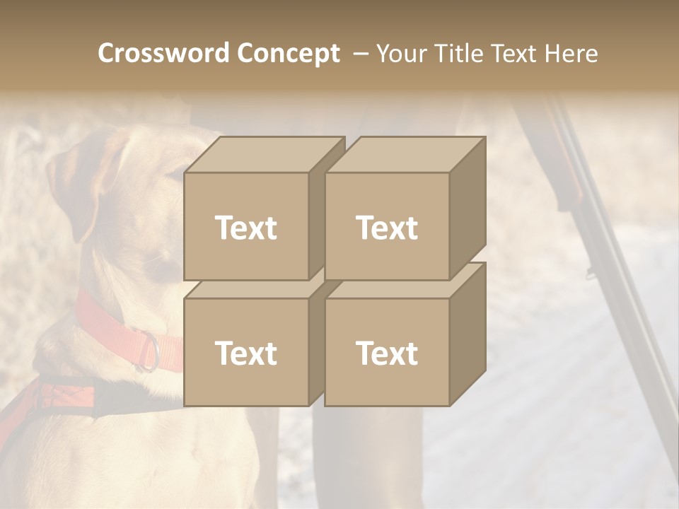 Animals Hunting Cold Weather Labrador PowerPoint Template