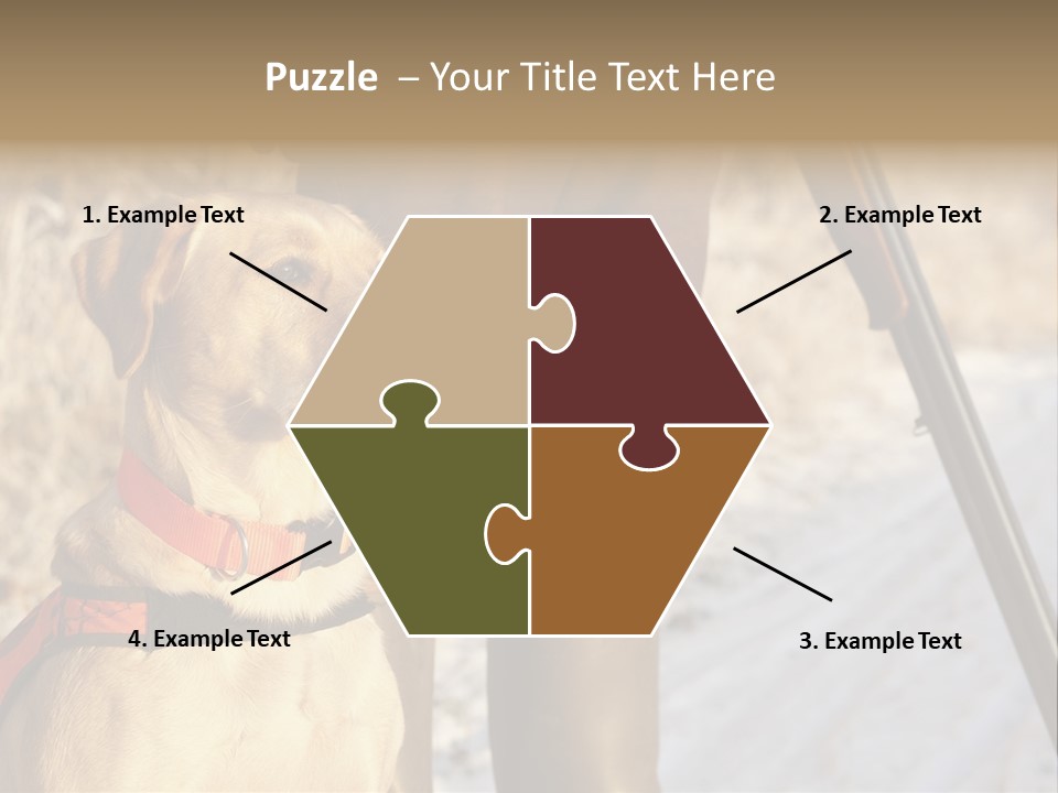 Animals Hunting Cold Weather Labrador PowerPoint Template