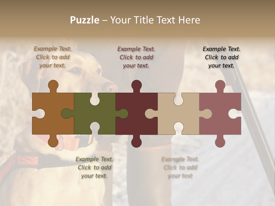 Animals Hunting Cold Weather Labrador PowerPoint Template