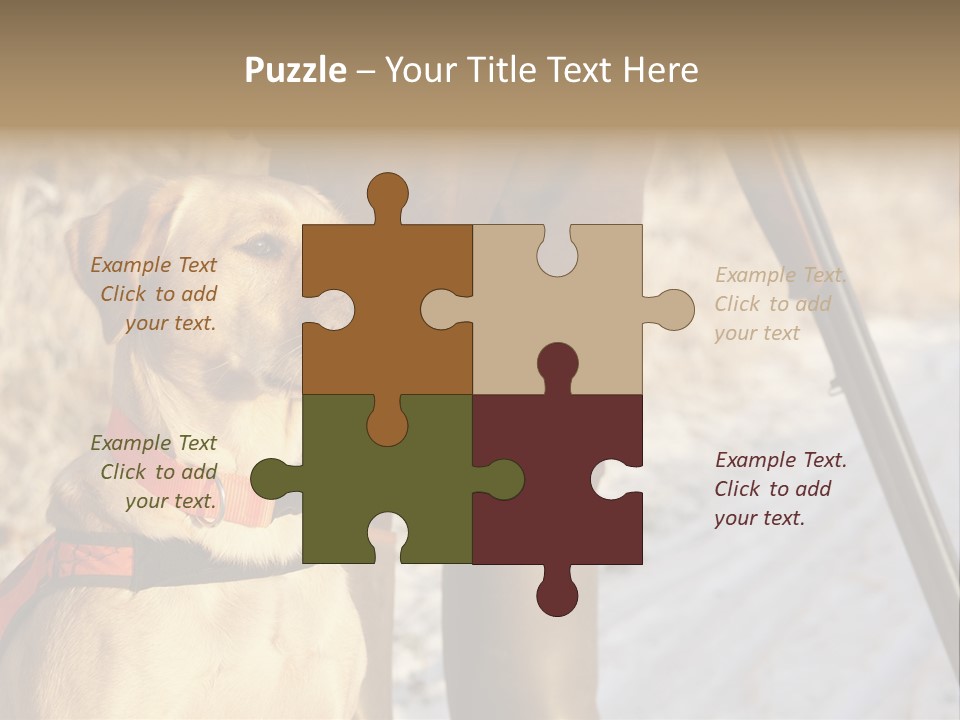 Animals Hunting Cold Weather Labrador PowerPoint Template