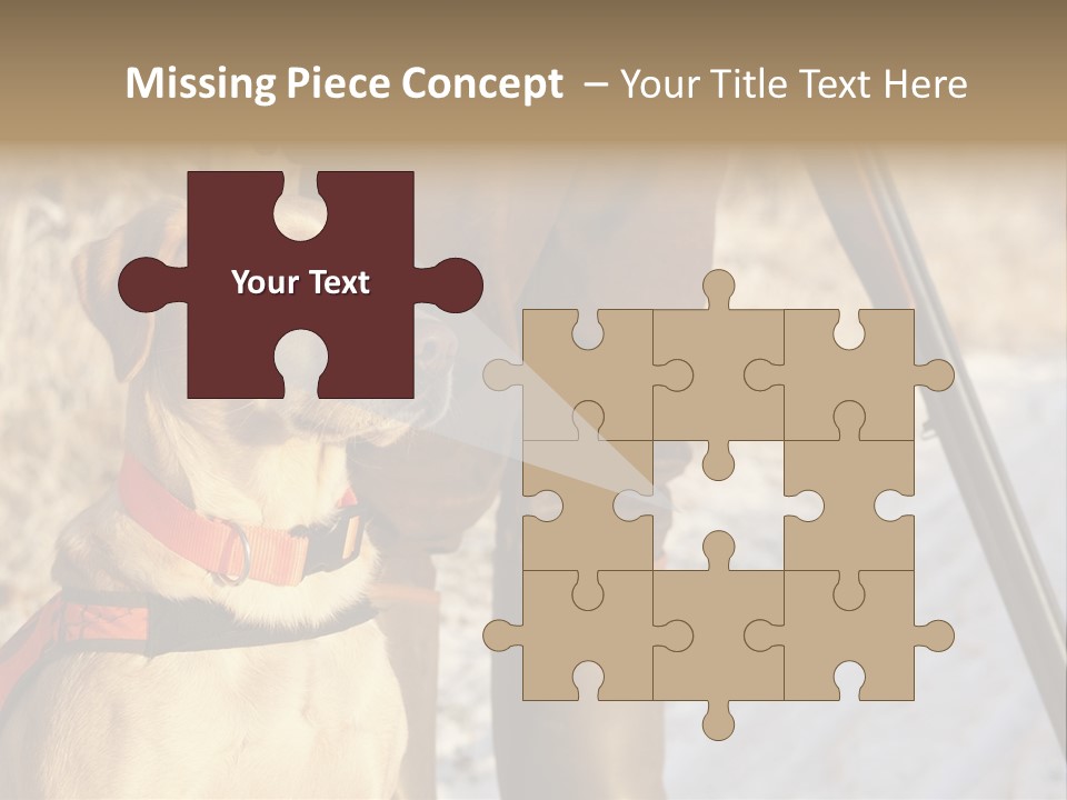 Animals Hunting Cold Weather Labrador PowerPoint Template