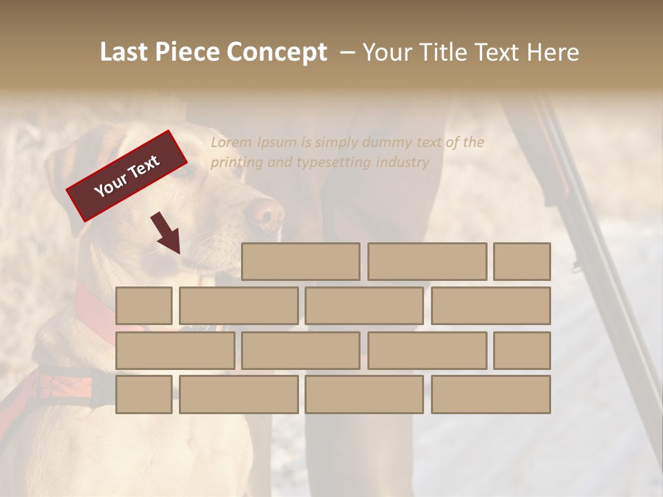 Animals Hunting Cold Weather Labrador PowerPoint Template