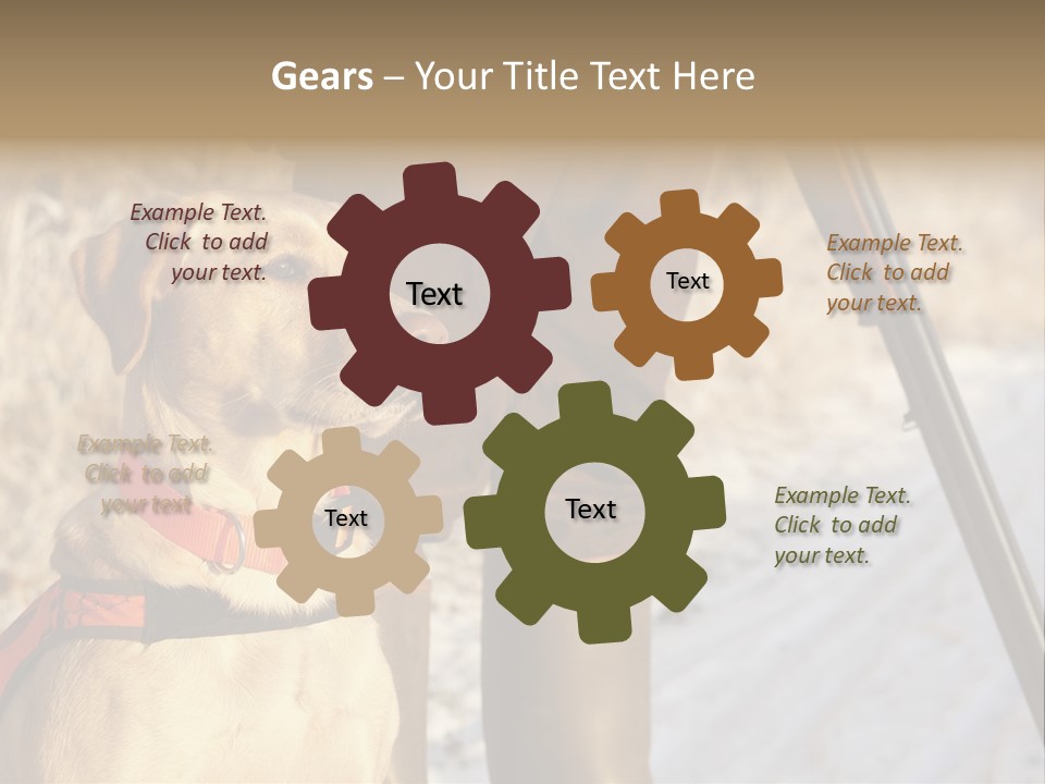 Animals Hunting Cold Weather Labrador PowerPoint Template