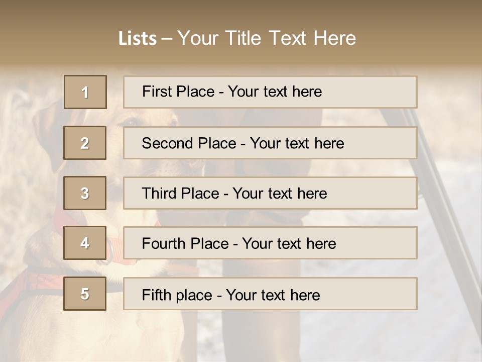 Animals Hunting Cold Weather Labrador PowerPoint Template