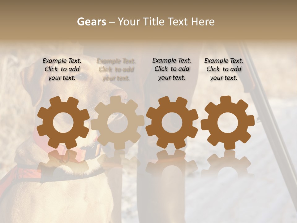 Animals Hunting Cold Weather Labrador PowerPoint Template