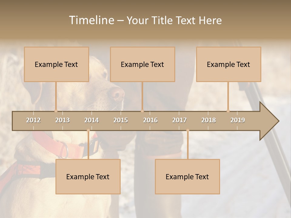 Animals Hunting Cold Weather Labrador PowerPoint Template