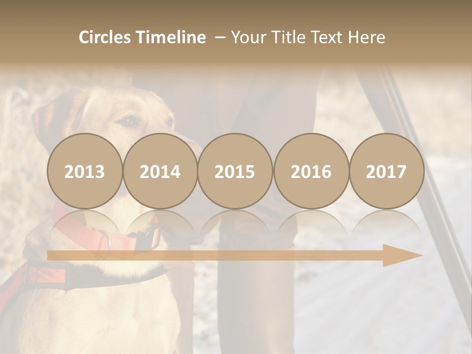 Animals Hunting Cold Weather Labrador PowerPoint Template