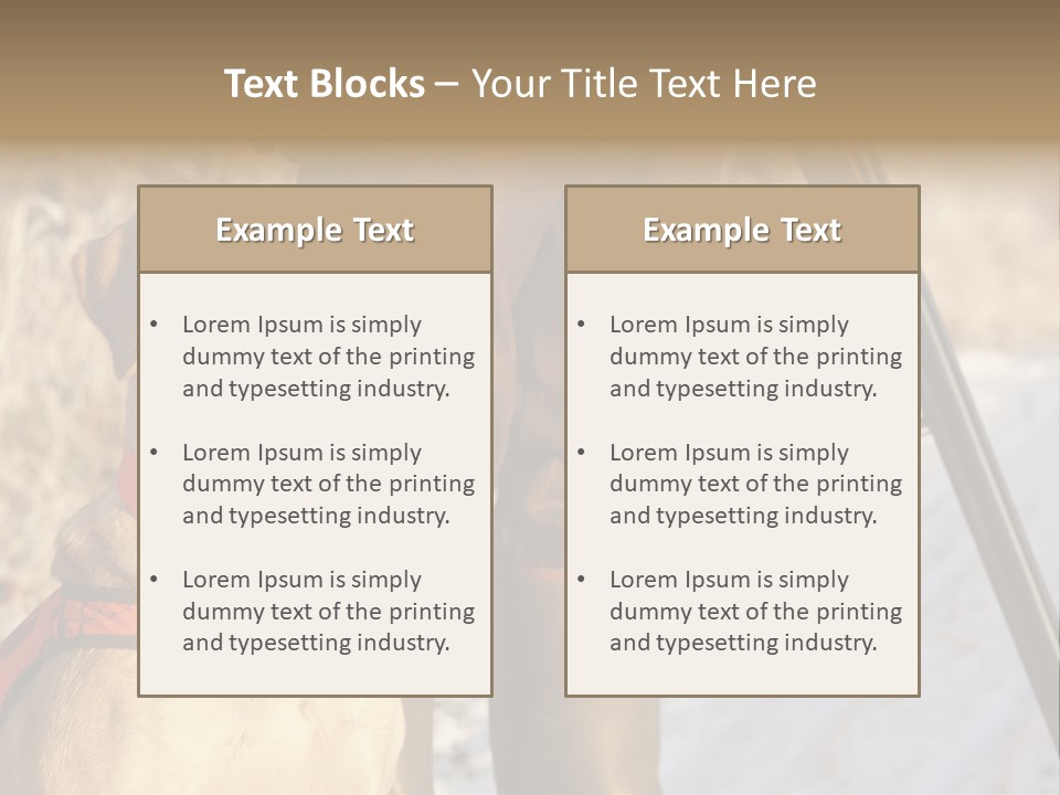Animals Hunting Cold Weather Labrador PowerPoint Template