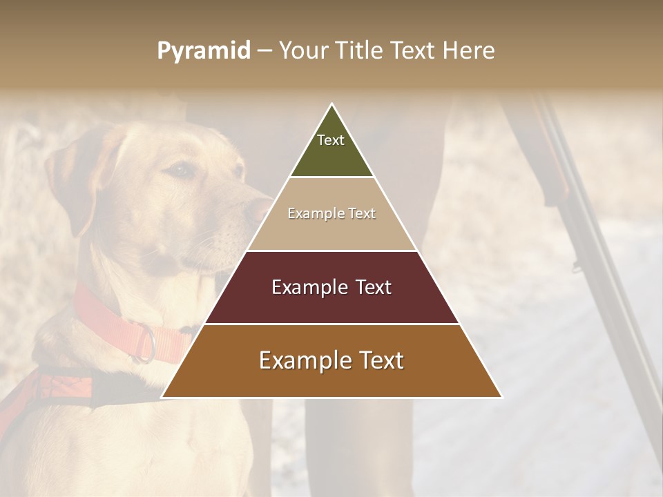Animals Hunting Cold Weather Labrador PowerPoint Template
