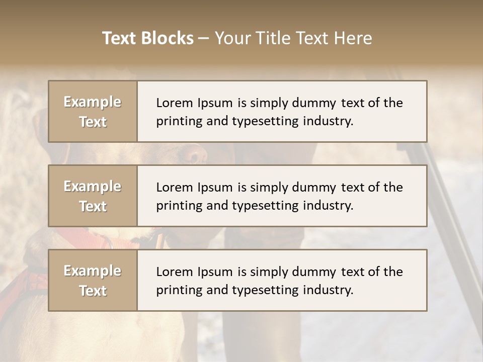 Animals Hunting Cold Weather Labrador PowerPoint Template