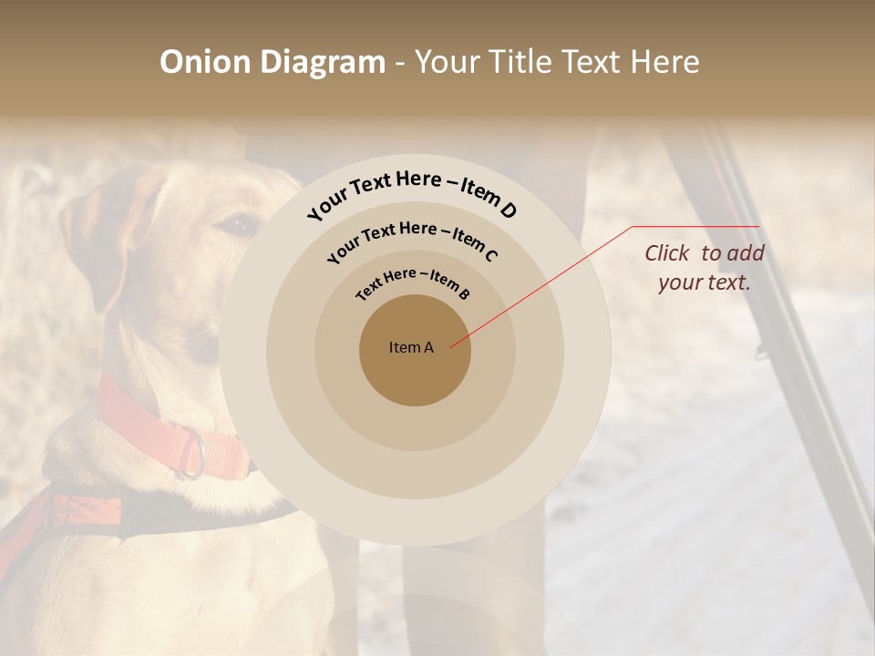 Animals Hunting Cold Weather Labrador PowerPoint Template