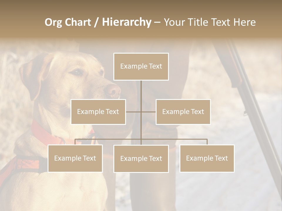 Animals Hunting Cold Weather Labrador PowerPoint Template