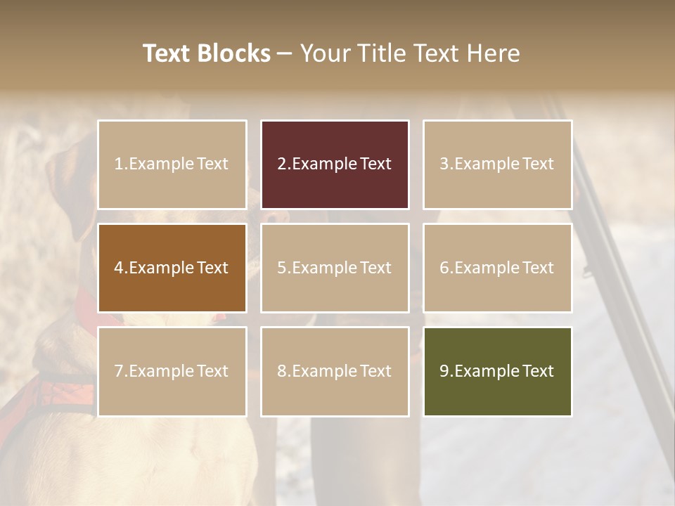 Animals Hunting Cold Weather Labrador PowerPoint Template