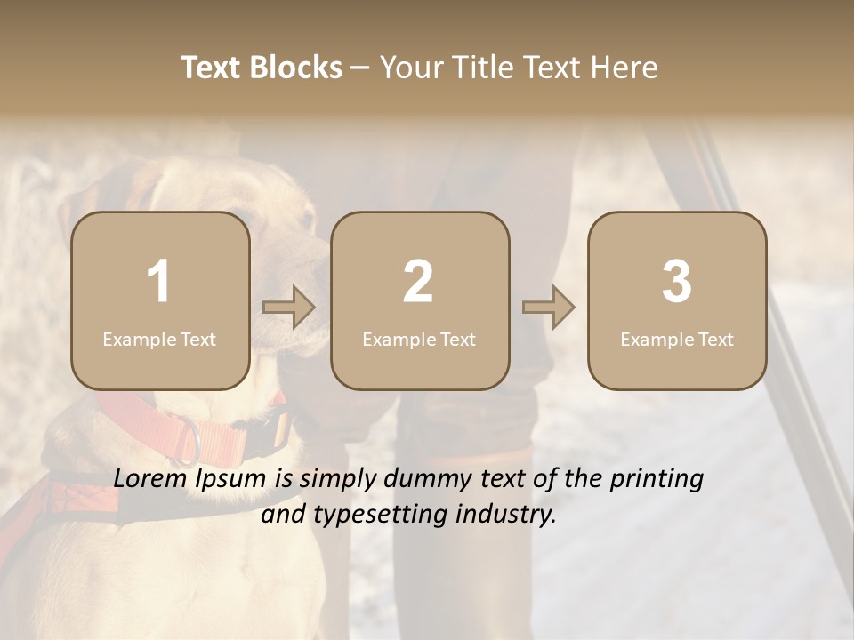 Animals Hunting Cold Weather Labrador PowerPoint Template