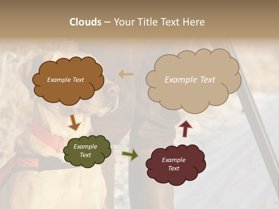 Animals Hunting Cold Weather Labrador PowerPoint Template