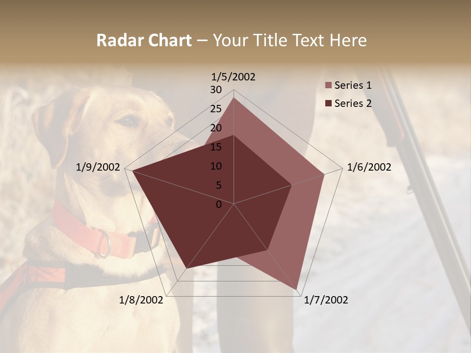 Animals Hunting Cold Weather Labrador PowerPoint Template