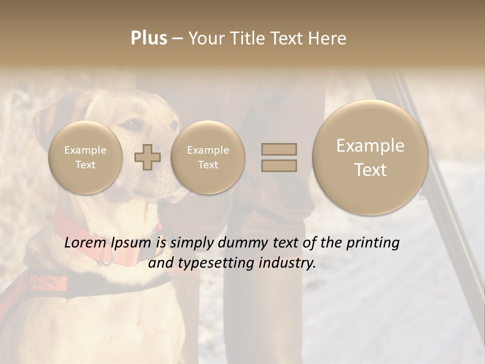 Animals Hunting Cold Weather Labrador PowerPoint Template