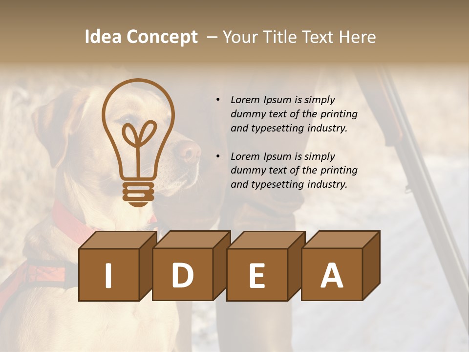 Animals Hunting Cold Weather Labrador PowerPoint Template