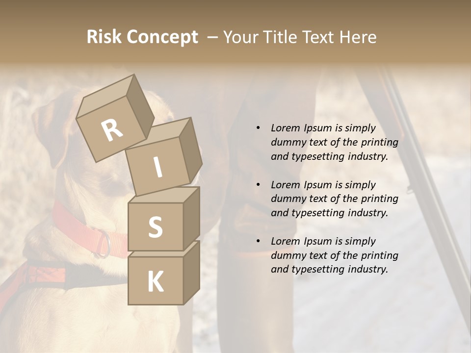 Animals Hunting Cold Weather Labrador PowerPoint Template