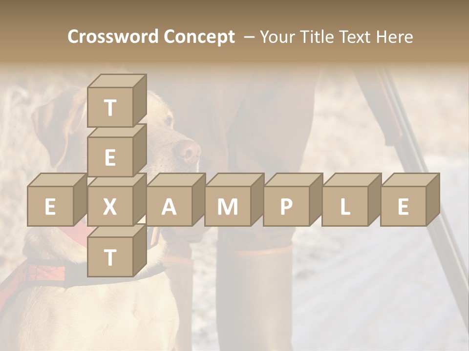 Animals Hunting Cold Weather Labrador PowerPoint Template