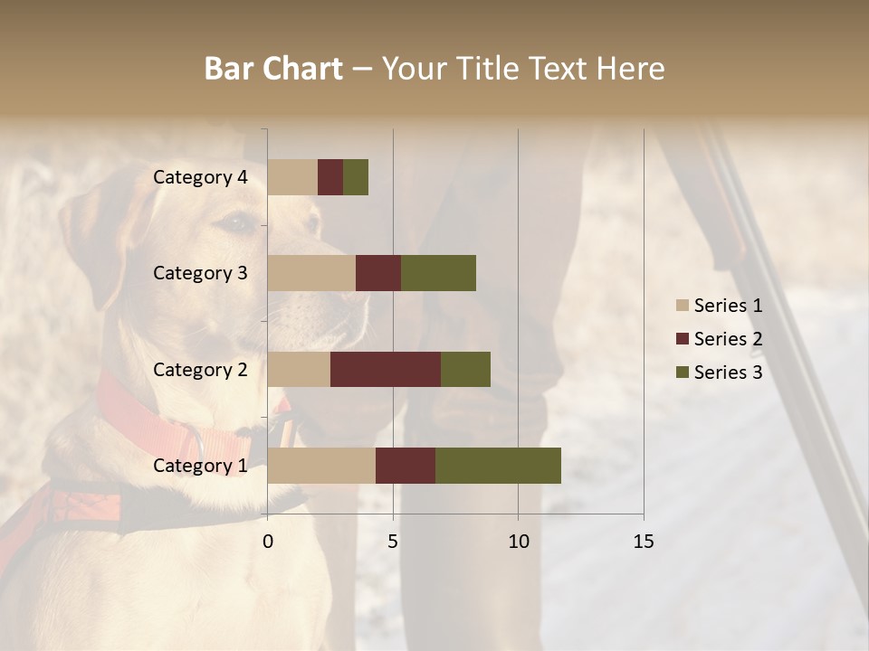 Animals Hunting Cold Weather Labrador PowerPoint Template