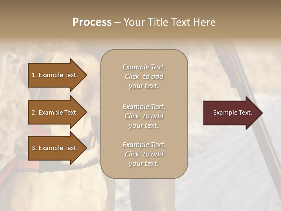 Animals Hunting Cold Weather Labrador PowerPoint Template