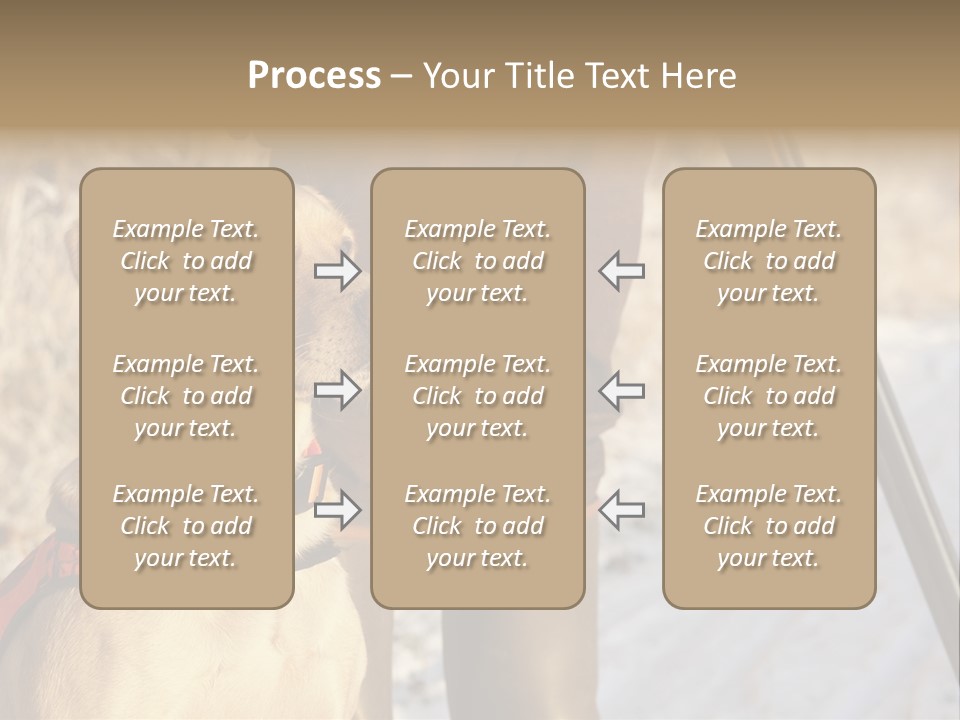 Animals Hunting Cold Weather Labrador PowerPoint Template