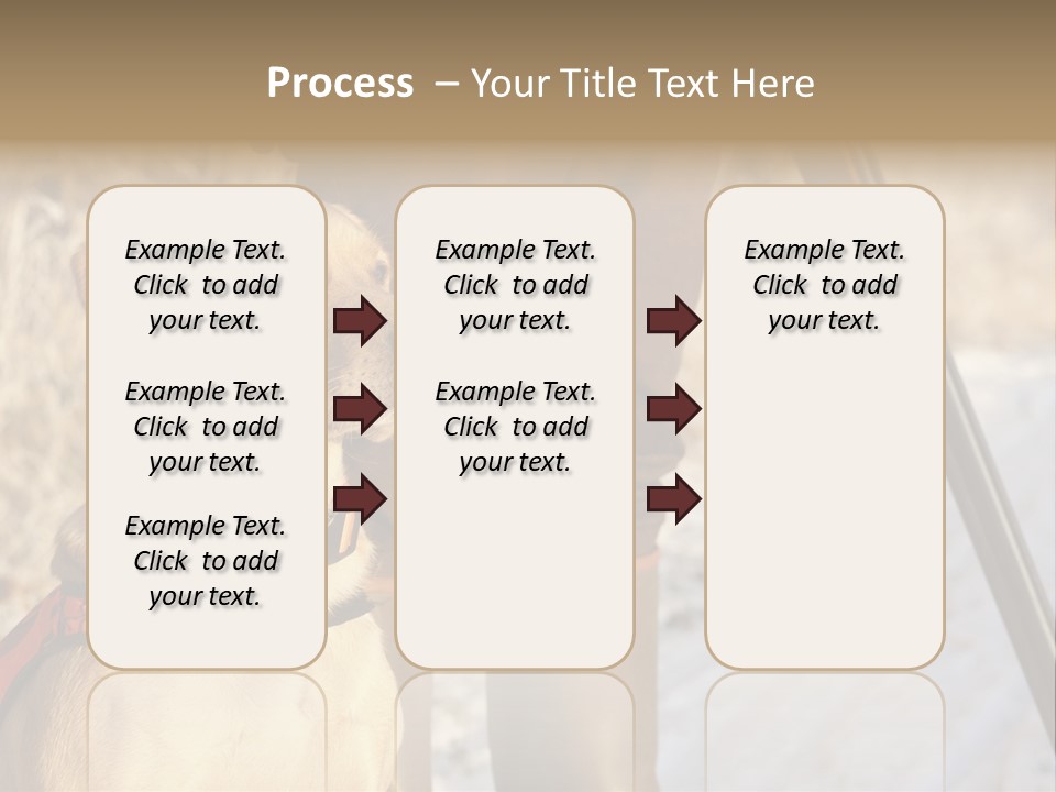 Animals Hunting Cold Weather Labrador PowerPoint Template
