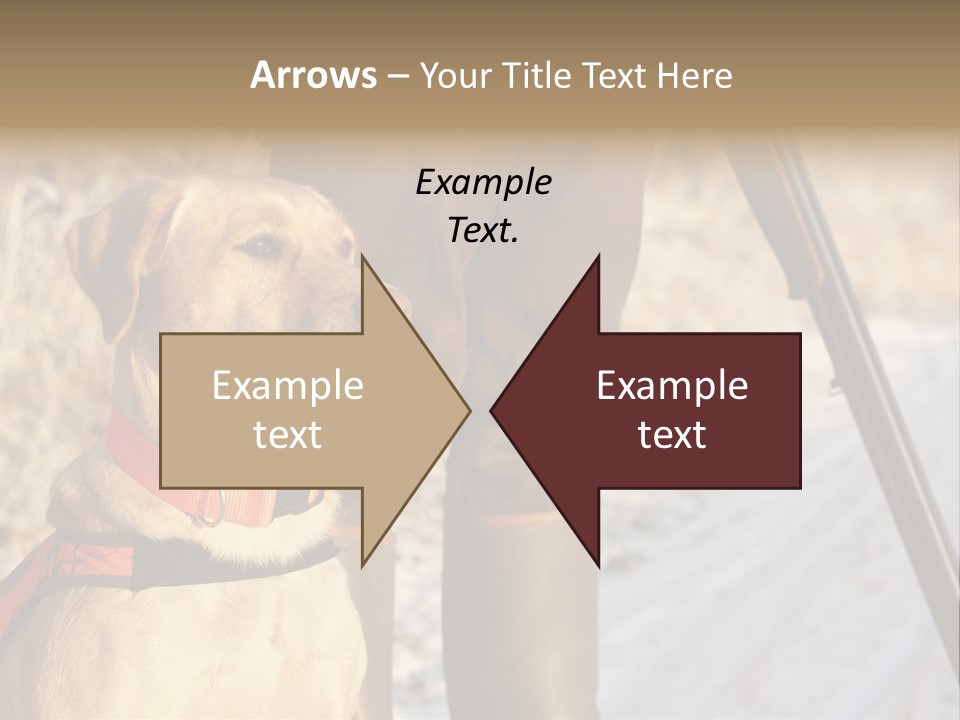 Animals Hunting Cold Weather Labrador PowerPoint Template