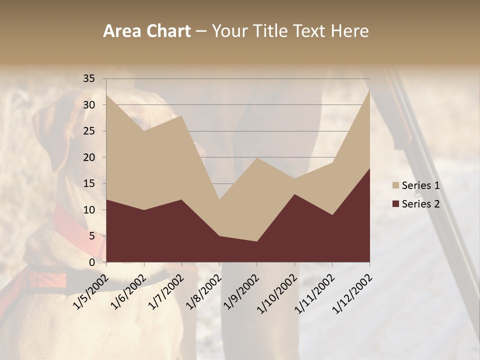 Animals Hunting Cold Weather Labrador PowerPoint Template