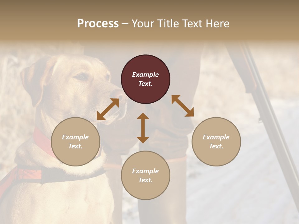 Animals Hunting Cold Weather Labrador PowerPoint Template