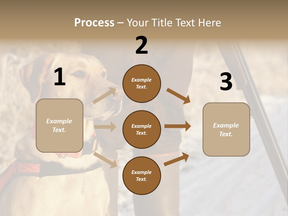 Animals Hunting Cold Weather Labrador PowerPoint Template