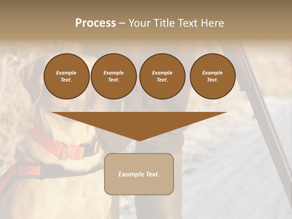 Animals Hunting Cold Weather Labrador PowerPoint Template
