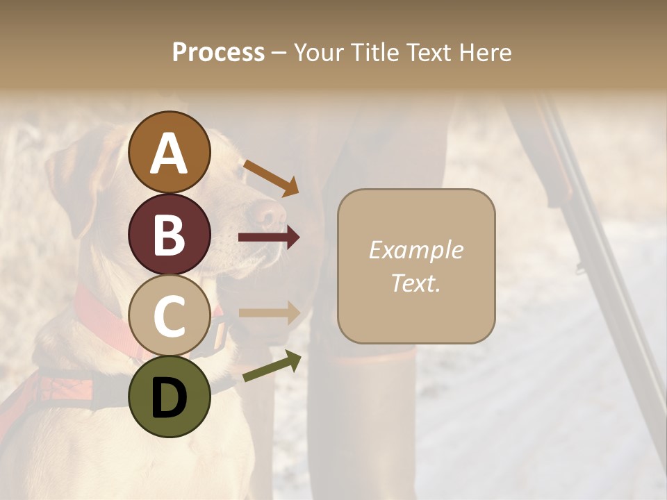 Animals Hunting Cold Weather Labrador PowerPoint Template