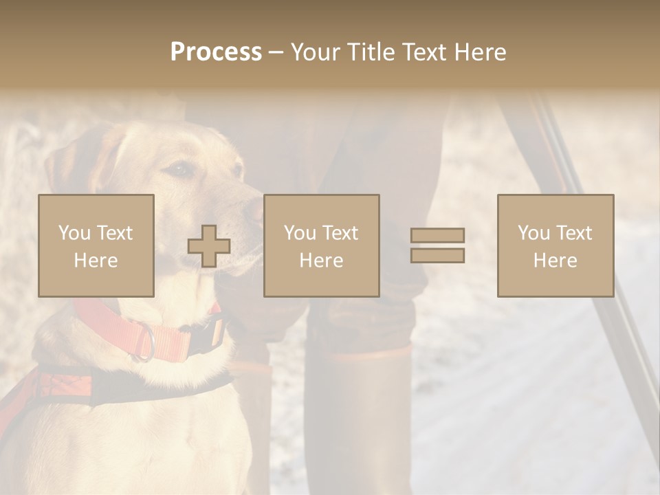 Animals Hunting Cold Weather Labrador PowerPoint Template