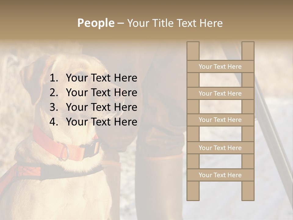 Animals Hunting Cold Weather Labrador PowerPoint Template