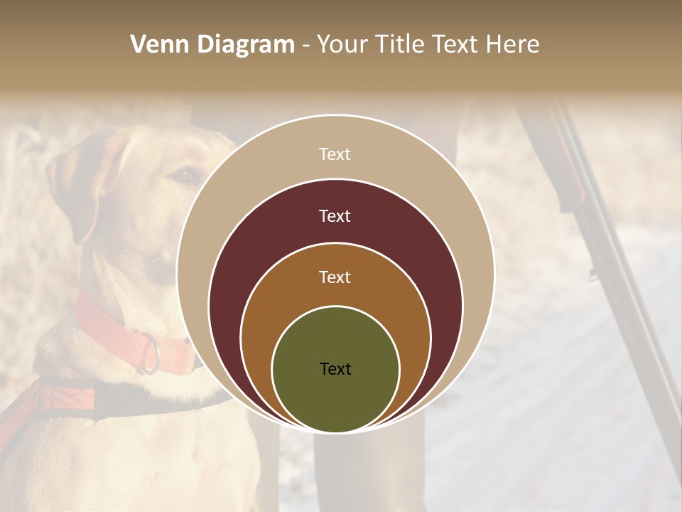 Animals Hunting Cold Weather Labrador PowerPoint Template