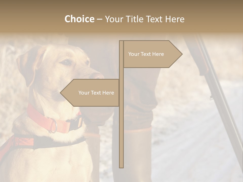 Animals Hunting Cold Weather Labrador PowerPoint Template