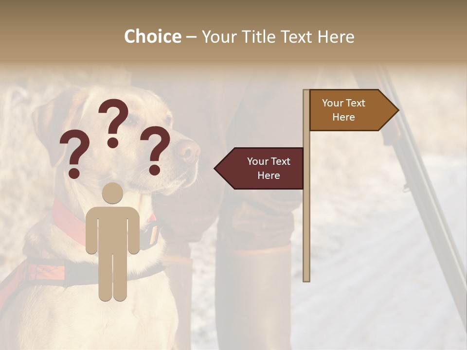 Animals Hunting Cold Weather Labrador PowerPoint Template