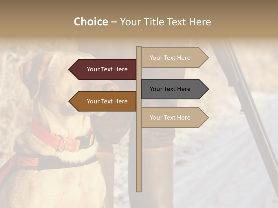 Animals Hunting Cold Weather Labrador PowerPoint Template
