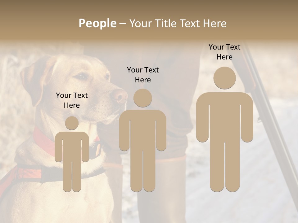 Animals Hunting Cold Weather Labrador PowerPoint Template