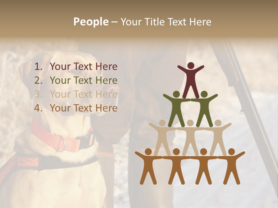 Animals Hunting Cold Weather Labrador PowerPoint Template