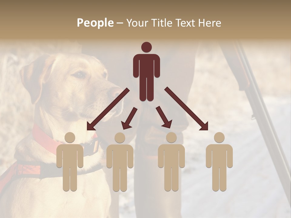 Animals Hunting Cold Weather Labrador PowerPoint Template